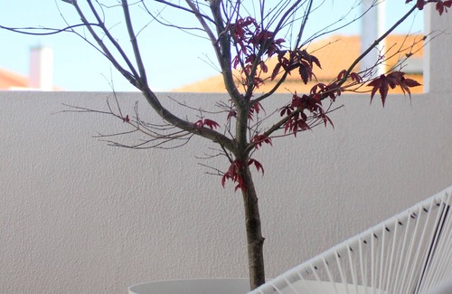 Mafra Maison | Vila Mafra - Grill Terrace au centre de Mafra