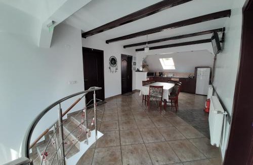 Vladeni Maison | Vila Nicolai