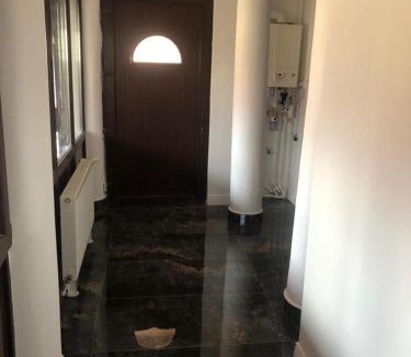 Buzau Maison | Vila Nucului