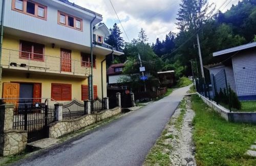 Slanic-Moldova Maison | Vila Robert
