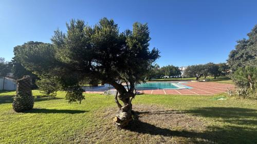 The Strip Maison | Vilanova by Check-in Portugal