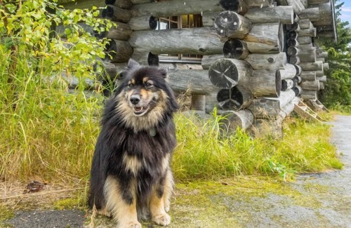 Syote Maison | Vilkkuna 20 a by Interhome