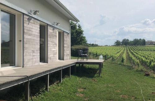 Cenac Maison | Villa à15 mn de Bordeaux avec piscine. Cadre exceptionnel au milieu des vignes.