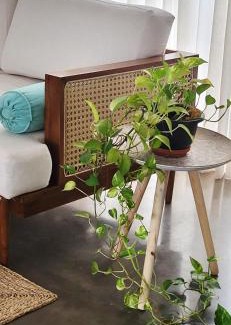 Jambugasmulla Maison | Villa 316 - Cozy Beach Vibe Family Home - 20 min to Colombo