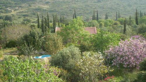 Klil Maison | Villa Adama