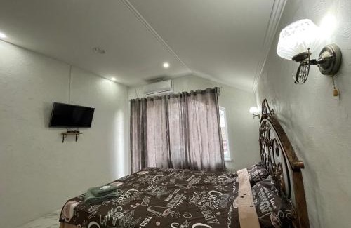 Chisinau Maison | Villa aeroport розовый дом