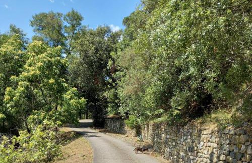 Ca Miro Appartement | Villa ai Sugheri