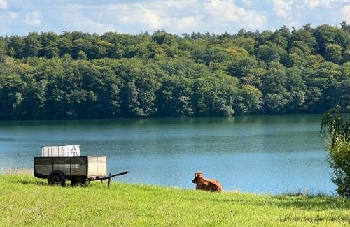 Borzestowska Huta Maison | Villa Alcmaria - Aura Kaszub
