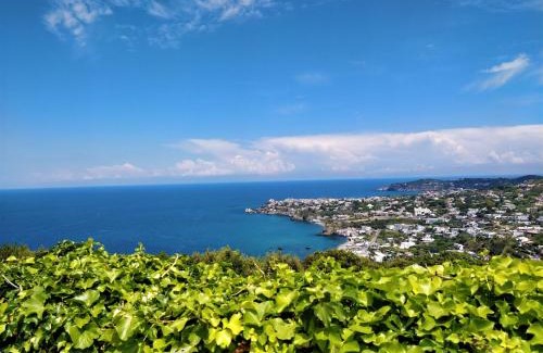 Panza Appartement | Villa Andrea