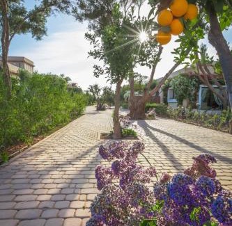 Issen Villa | Villa Atlas piscine privée