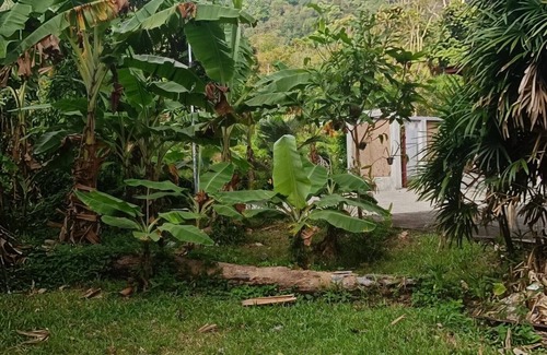 Kamala Villa | Villa au pied de la forêt dans 1 grand jardin a 5mn de la plage
