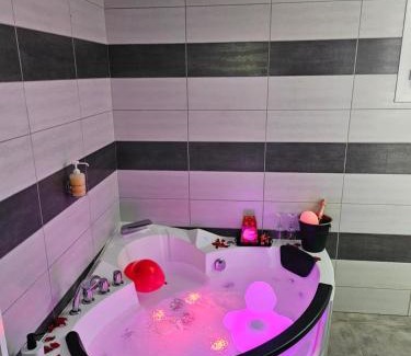 Cornebarrieu Appartement | Villa avec baignoire balnéo véranda & jardin