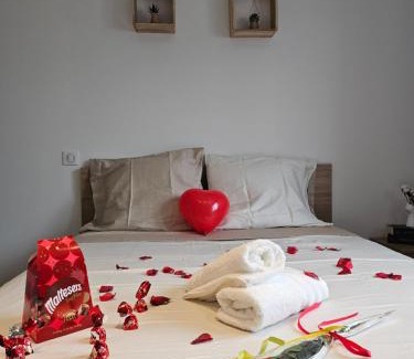Cornebarrieu Appartement | Villa avec baignoire balnéo véranda & jardin