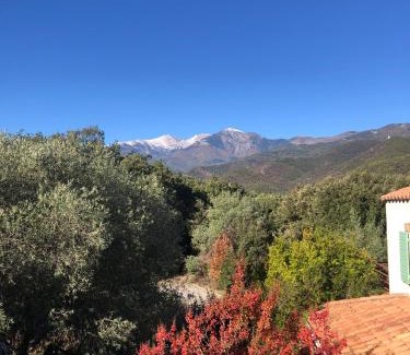 Arles-sur-Tech Lit Et Petit-Déjeuner | Villa Bonheur Vallespir