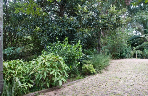 Sao Sebastiao das Aguas Claras Maison | Villa Bottaro. Vous êtes plus proche de la nature!