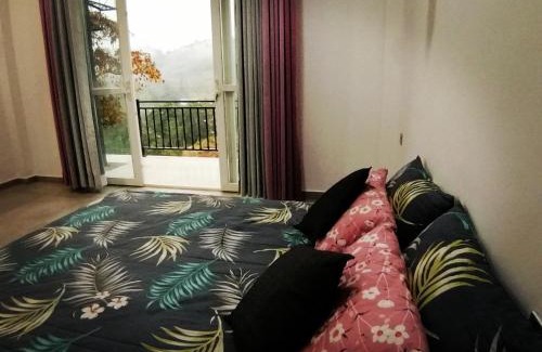 Ambagamuwa Hôtel | Villa Cascade
