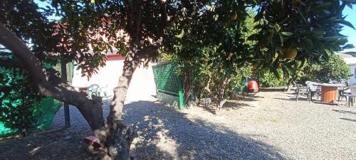 Alcolea Maison | Villa Coco