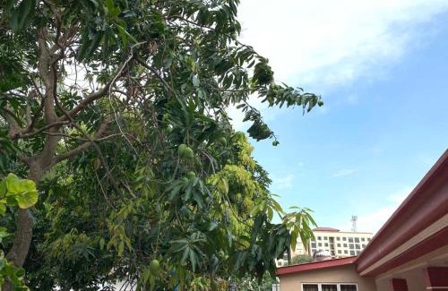 Bukit Baru Maison | Villa CtZee