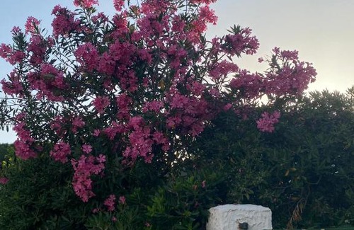 Paestum Maison | Villa dei Gelsomini