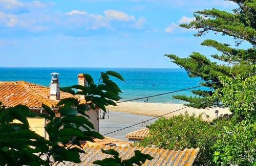 La Franqui Maison | Villa des cèdres La Franqui