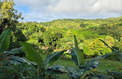 Coromandel Maison | Villa detente 2