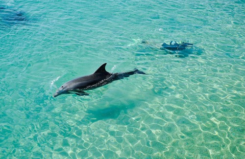 Eilat Villa | VILLA DIAMOND ***** Jasmin A. Eilat ISRAEL