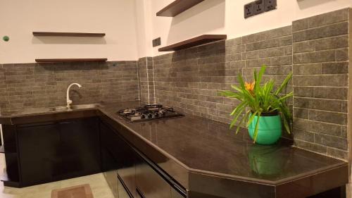 Weligama Maison | Villa Dinoos- Weligama