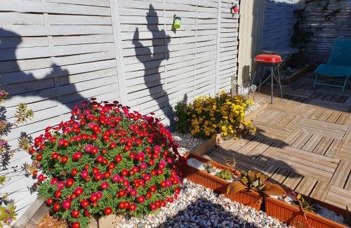 Frontignan Appartement | Villa Dora