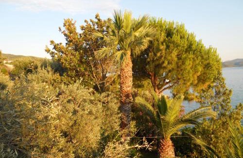 Horto Appartement | Villa Electra