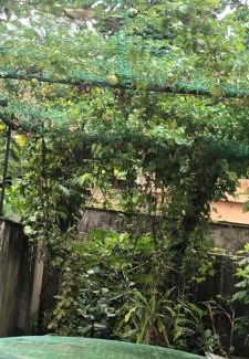 Varkala Maison | Villa Florence Homestay Varkala Cliff