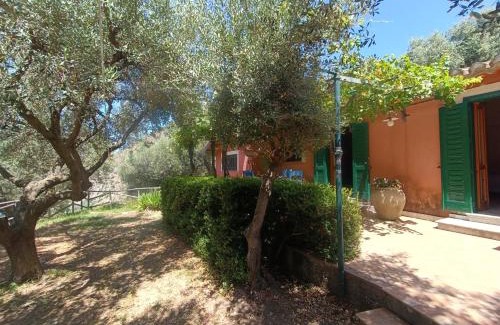 Joppolo Villa | Villa Gemma