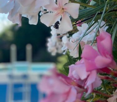 Marciaga Appartement | VILLA GHIANDARE