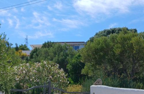 Cugnana Verde Appartement | Villa Ginepro