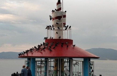 Chapala Centro Hôtel | Villa Guadalupe