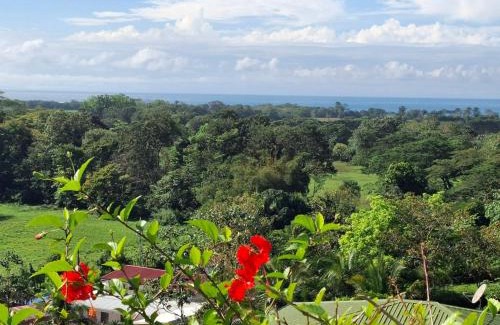 Playa Hermosa Appartement | Villa Hermosa Claudia - nature and relaxation
