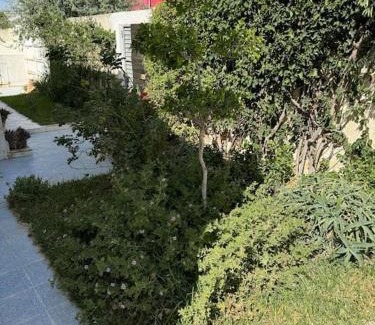 Korba Villa | Villa in Korba 100m to the beach