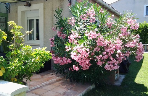 Pierrevert Villa | villa dans le parc du luberon