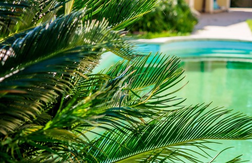 La Spezia Villa | Villa Ito with Swimming Pool