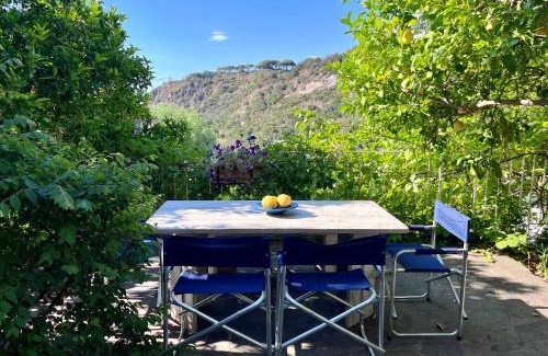 Forio Appartement | Villa Izzo