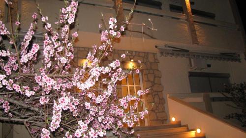 Potos Appartement | Villa Kokkinos
