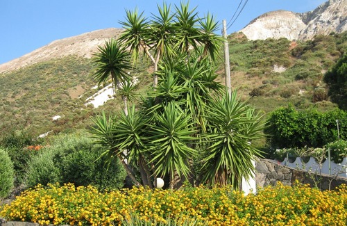 Vulcano Porto Villa | Villa Liliana: 2 + 2 lits, vue panoramique, 200 mt. de la mer.