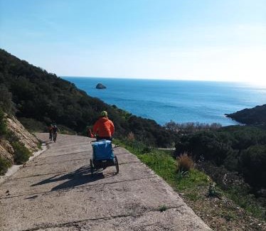 Cavo Maison | Villa Lulu al Cavo - Elba Affitti