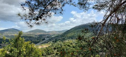 Manot Appartement | Villa Magnolia in Manot
