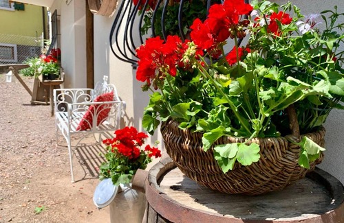 Baselga di Pine Appartement | Villa Maria Baselga di Pinè Appartamenti