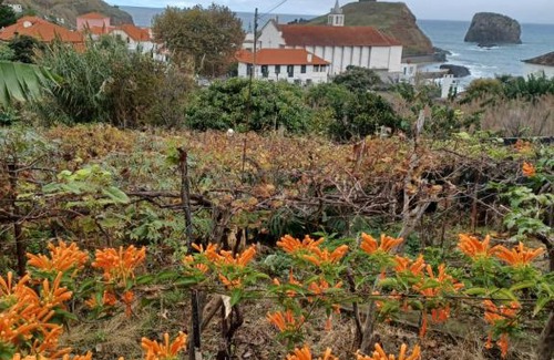 Porto da Cruz Appartement | Villa Matilde e Joaquim