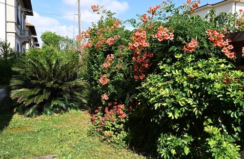 Pisa Villa | Villa Mehari