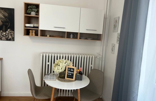 Bad Pyrmont Appartement | Villa Mercedes - Studio 2 in the center with parking and balcony, dog allowed