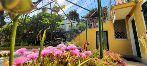 Torre del Mare Appartement | Villa Mimosa