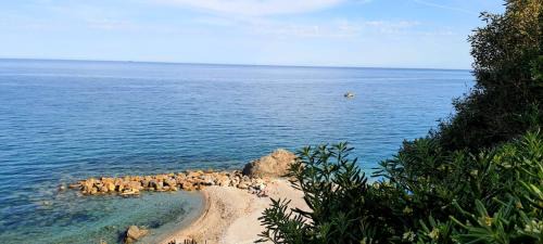 Torre del Mare Appartement | Villa Mimosa