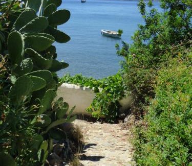 Poros Appartement | Villa Mimosa Poros Beachfront Apartment